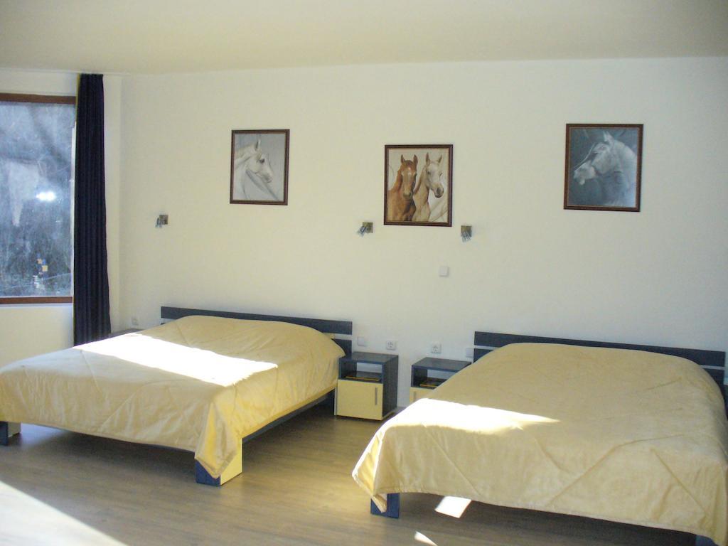 Guest House Alfa Daniel Balkanets  Rum bild