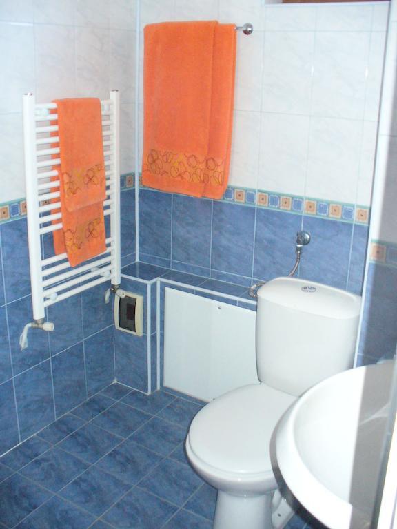 Guest House Alfa Daniel Balkanets  Rum bild